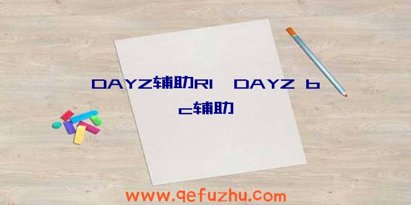 DAYZ辅助RI、DAYZ